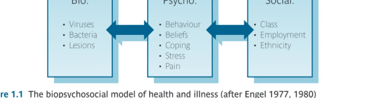 Figure 1.1 The biopsychosocial model of health and illness (after Engel 1977, 1980)