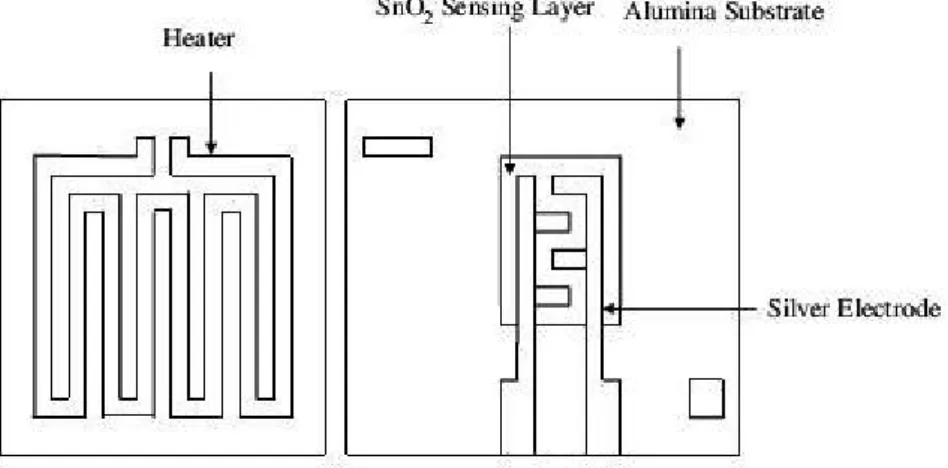 Gambar 1.3: Skema sensor gas (Srivastava, et al., 2009)