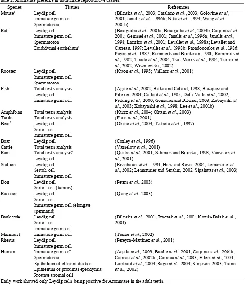 Table 2. Aromatase presence in adult male reproductive tissues.