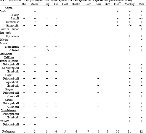 Table 3. Localization of ERβ in the testis and male reproductive tract epithelium: a species comparison (continued)***