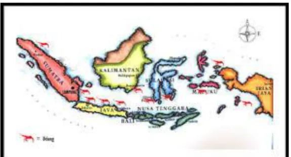 Gambar 1.1 Daerah Penghasil Udang di Indonesia 