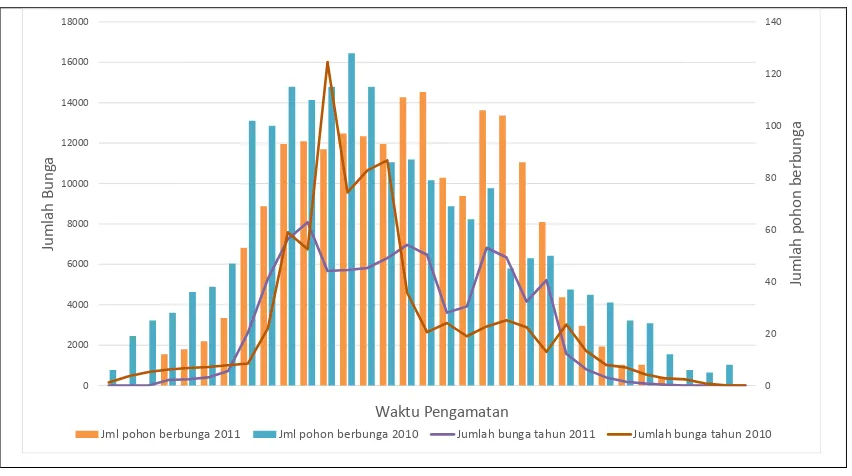 Gambar 2.  Intensitas pembungaan dan jumlah pohon berbunga dalam 2 periode pengamatan (tahun 2010 dan tahun 2011) pada KBS kayuputih di Paliyan