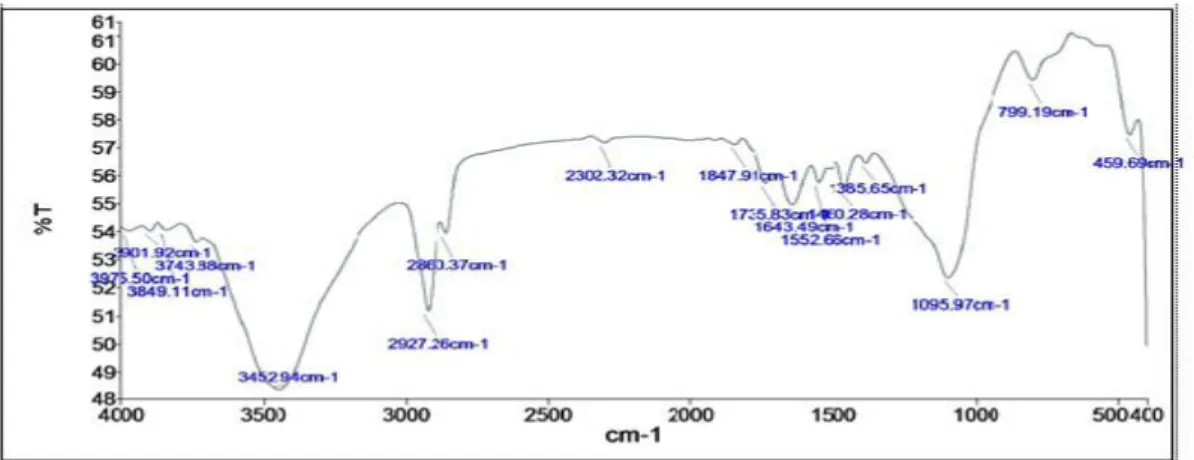 Gambar 6. Spektrum FTIR isolat alkaloid daun Mindi 