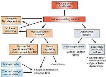 Gambar 1. Patogenesis Intradialisis Hipotensi 