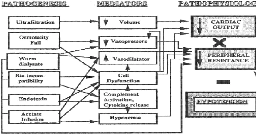 Gambar 2. Skema Mekanisme Intradialisis Hipotensi 