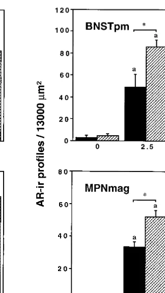 FIG. 2.AR-ir proﬁles/13000 mm2 in the MPN, LSept, MeAMY, BNSTpm, and MPNmag of prepubertal (28 days old) and adult (49 days old)male hamsters that were castrated 1 week prior to sacriﬁce and received a pellet containing 0, 2.5, or 5 mg of testosterone