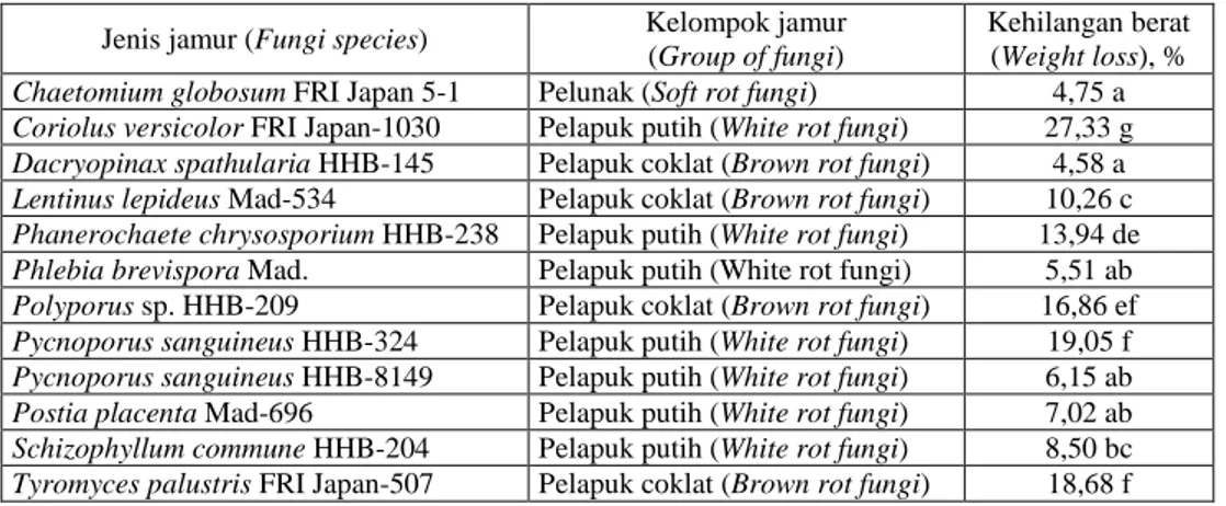 Tabel 7. Rata-rata kehilangan berat kayu oleh jamur perusak  Table 7. The average weight loss of wood due to destroying fungi 