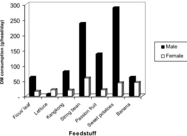 Figure 2. Average of dry matter consumption of maroon leaf monkey  based on feedstuff (g/