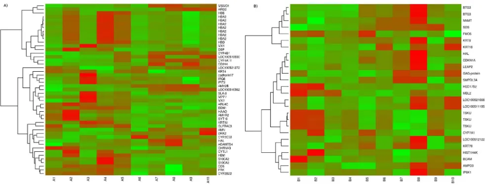 Figure 1. Heatmap showing differentially expressed genes in (A) testis and (B) liver samples