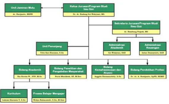 Gambar 4.1.  Struktur Organisasi Program Studi Ilmu Gizi 