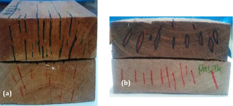 Figure 3. Initial end/surface check/split (a), honeycombing and deformation (b) observed in pasaklinggo Gambar 3
