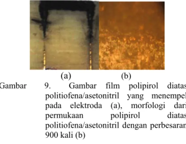 Gambar 11. Gambar film politiofena diatas lapisan  dasar poli-3-metiltiofena dan pirol pada  elektroda kerja (a), morfologi permukaan  dari film politiofena diatas lapisan dasar  poli-3-metiltiofena dan pirol perbesaran  900 kali (b) 