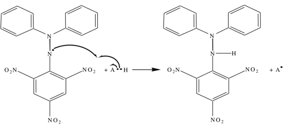 Gambar 5. Reaksi DPPH dengan antioksidan (Windono et al., 2001)  Sebagai    akibatnya  maka  penambahan  senyawa  yang  bereaksi  sebagai  antiradikal  akan  menurunkan  konsentrasi  DPPH  ini