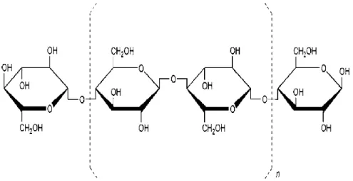 Gambar 2.1 Struktur Molekul Selulosa (Rowe, dkk., 2006) 