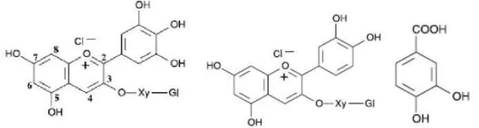 Gambar 2. Struktur Kimia Antosianin 