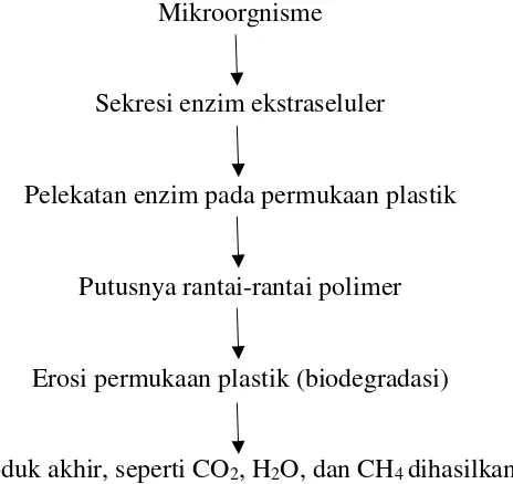 Gambar 2. Mekanisme Biodegradasi Plastik (Shah et al. 2008). 