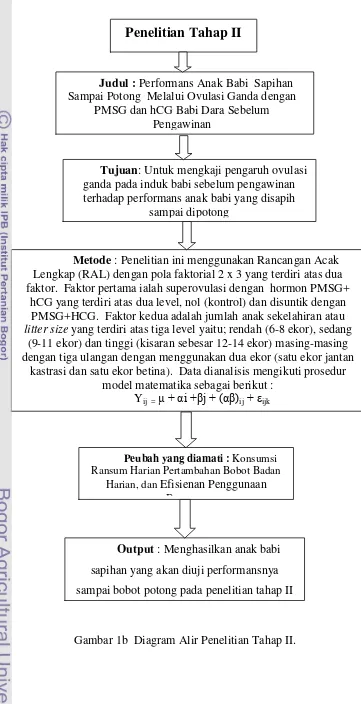 Gambar 1b  Diagram Alir Penelitian Tahap II. 