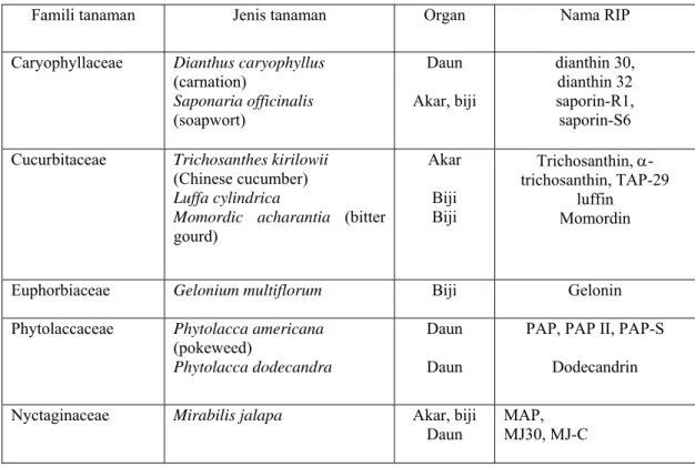 Tabel 1. Sumber tanaman dan nama RIP tipe 1 yang dihasilkan.  