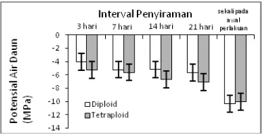 Gambar 6. Potensial air daun bibit jati diploid dan tetraploid yang diberi perlakuan cekaman kekeringan dengan interval penyiraman 3 hari, 7 hari, 14 hari, 21 hari, dan disiram sekali hanya pada awal perlakuan