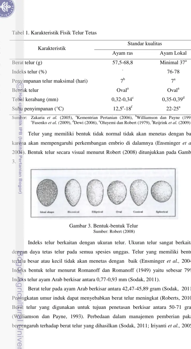 Gambar 3. Bentuk-bentuk Telur 