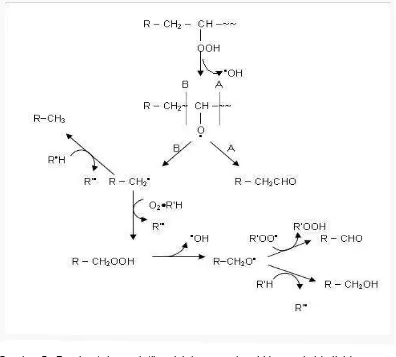 Gambar 5   Pembentukan volatil melalui pemecahan hidroperoksida lipid  