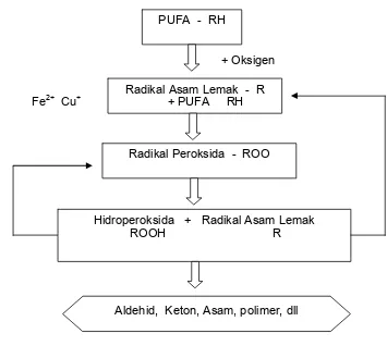 Gambar 6   Mekanisme oksidasi asam lemak (Berges 1999). 