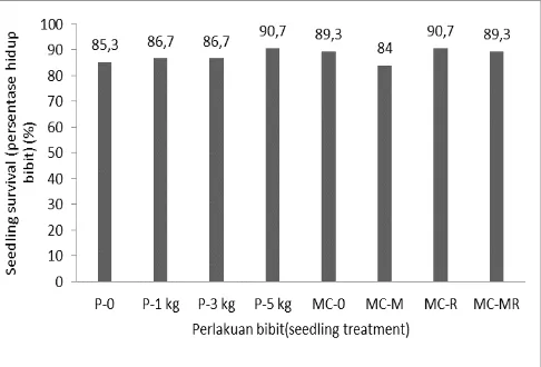 Gambar 1. Persen hidup bibit sengon merah (Albizia chinensis) pada beberapa komposisi media semai cetak dan media dalam polybag dengan berbagai dosis kompos pada umur 6 bulan setelah tanam Figure 1