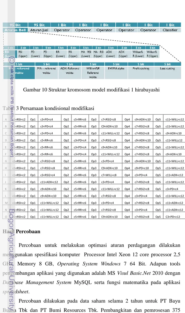 Gambar 10 Struktur kromosom model modifikasi 1 hirabayashi 