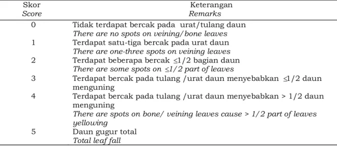 Tabel 4. Nilai bercak serangan penyakit gugur daun Corynespora Table 4. Spots value of  Corynespora leaf fall disease attack 