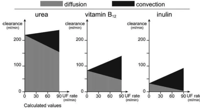 Gambar 5. Clearance pada urea (MW = 60), vitamin B12 (MW = 1 355) dan inulin (MW = 5 000) 