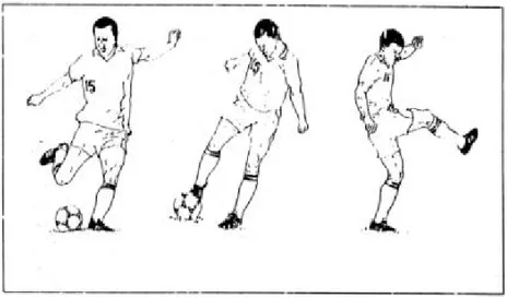 Gambar 4. Menendang dengan punggung kaki bagian dalam   (Sucipto,dkk, 2000: 21) 