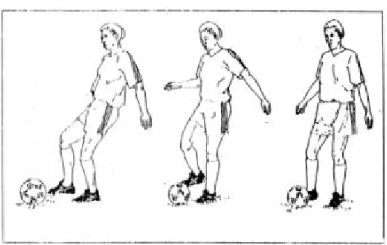 Gambar 5. Menghentikan bola dengan kaki bagian dalam  (Sucipto dkk, 2000: 23) 
