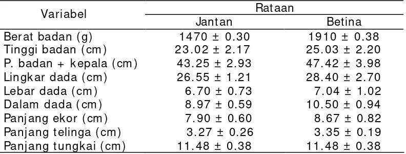 Tabel  3  Rataan ukuran tubuh  berdasarkan jenis kelamin 