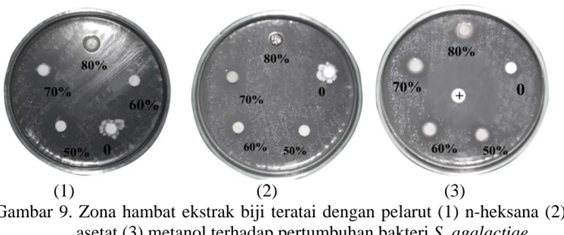 Gambar 9. Zona hambat ekstrak biji teratai dengan pelarut (1) n-heksana  (2)  etil            asetat (3) metanol terhadap pertumbuhan bakteri S