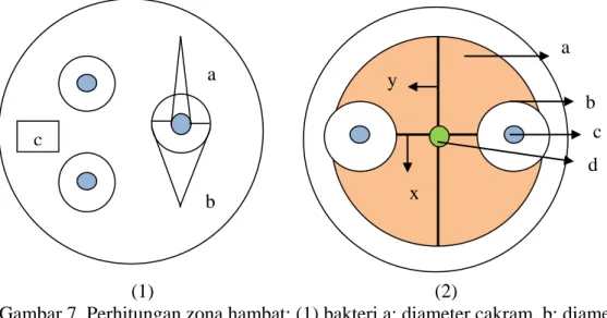 Gambar 7. Perhitungan zona hambat; (1) bakteri a: diameter cakram, b: diameter    daerah yang tidak ditumbuhi bakteri,  c:  Daerah yang ditumbuhi  bakteri