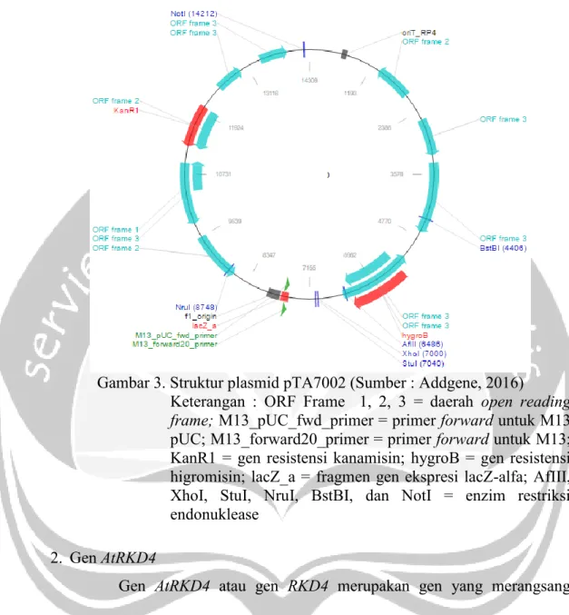 Gambar 3. Struktur plasmid pTA7002 (Sumber : Addgene, 2016) 