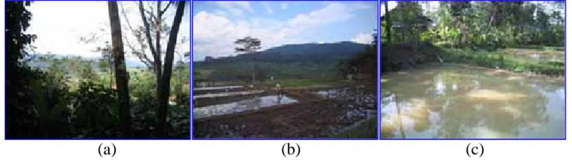 Gambar III.6. Keadaan daerah penelitian; (a) Morfologi perbukitan dengan  berbagai macam tumbuhan, (b) tanaguna lahan sebagai 