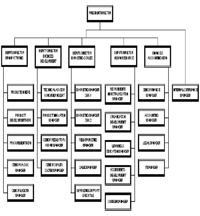 Gambar 4.1  Struktur Organisasi PT Bintang Toedjoe 