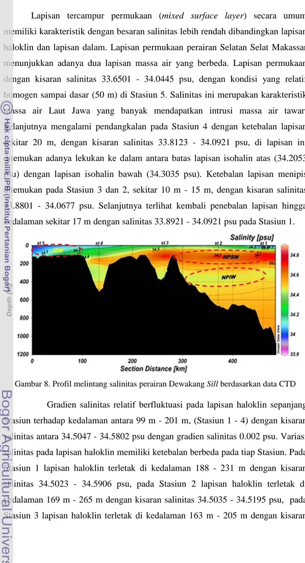 Gambar 8. Profil melintang salinitas perairan Dewakang Sill berdasarkan data CTD 