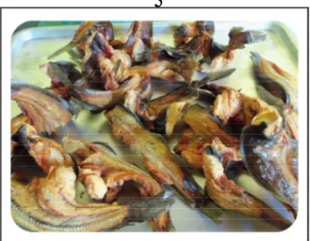 Gambar 3. Ikan lele oven berperisa asap hasil produksi UMKM Tode-Kupang, NTT. Sumber :  Koleksi Tim PKPP Kupang, 2012 