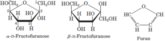 Gambar 2.2 Bentuk cincin α-D-fruktofuranosa, β-D-fruktofuranosa, dan