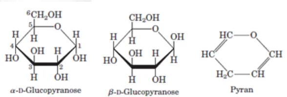 Gambar 1.9  Bentuk  piranosa  D-Glukosa  (α-D-Glukopiranosa  dan  β-D-
