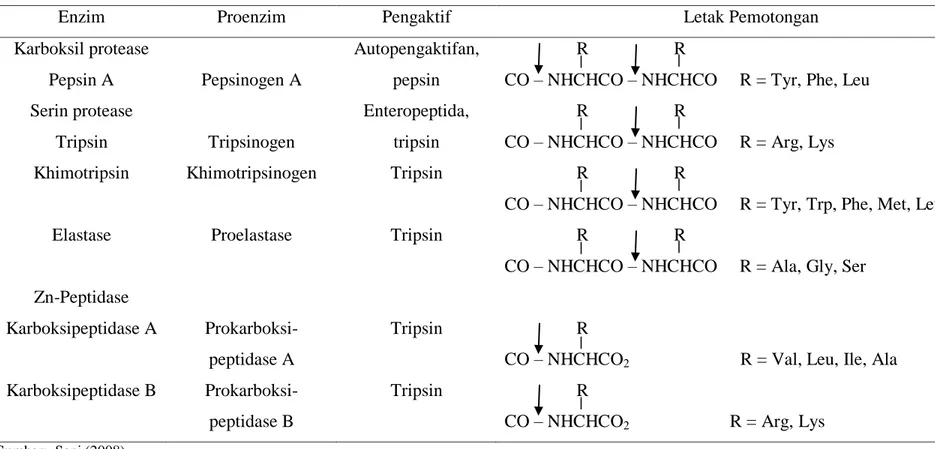 Tabel 3.  Spesifitas Pemotongan Berbagai Enzim Proteolitik 