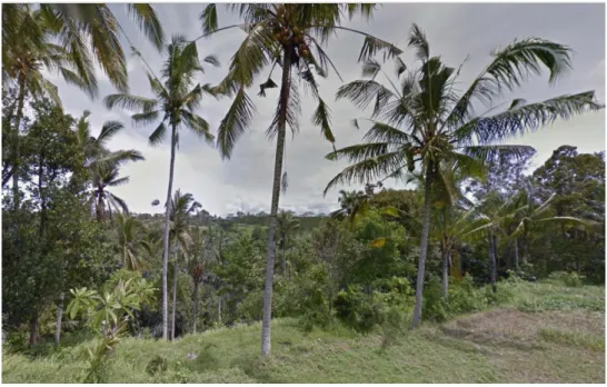 Gambar 2. 3 Persawahan View Jurang