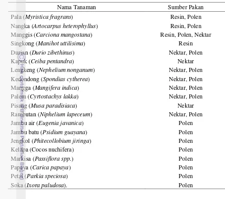 Tabel 12. Tanaman Sumber Pakan Trigona Kebun Polikultur 