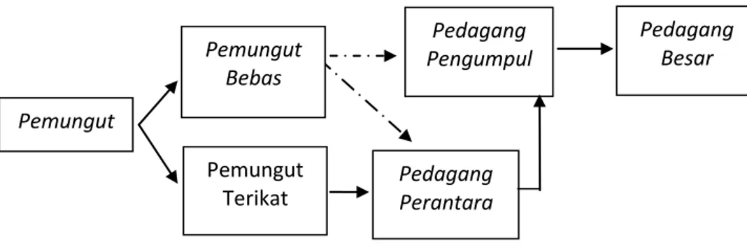 Gambar 2.2.   Alur tata niaga gaharu di Kalimantan Timur Pemungut Pemungut Bebas Pemungut Terikat Pedagang Perantara Pedagang Pengumpul  Pedagang Besar 