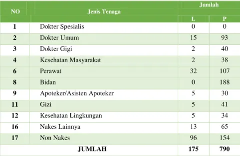 Tabel 3. 1 Jumlah Tenaga Kesehatan dan Non Kesehatan di Puskesmas berdasarkan  jenis Tenaga Kesehatan di Kota Bogor Tahun 2020 