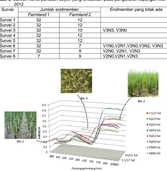 Gambar 9. Nilai reflektan tanaman padi pada beberapa fase pertumbuhan 