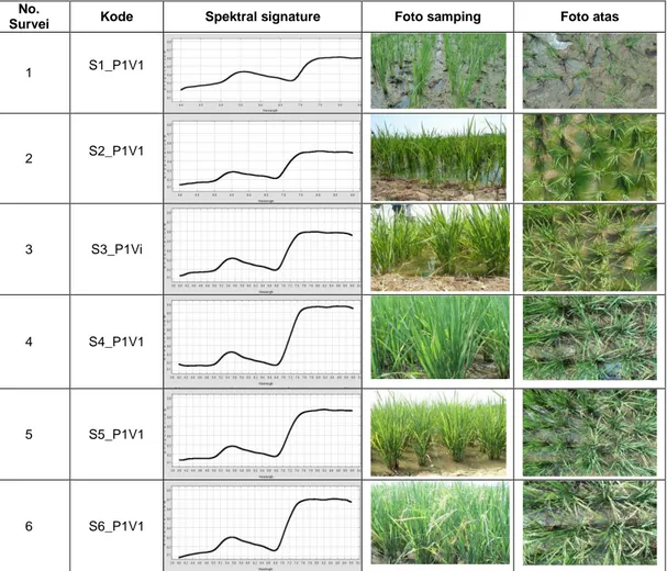 Tabel 6.  Hasil pengukuran lapangan 8 fase pertumbuhan tanaman padi farmland 1 (P1V1),  varietas IR 78581-12-3-2-2 dengan perlakuan pupuk 1  