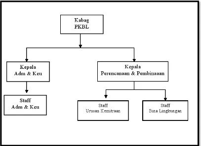 Gambar 4.1 Struktur Organisasi Mitraa Binaan PTPN III Sumber : Bagian Kemitraan dan Bina Lingkungan PTPN III 